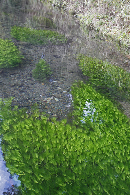 b0277159_22455930.jpg