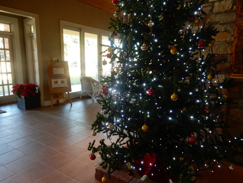 ’15,12,5(土)勝浦のクリスマス!_f0060461_1592538.jpg