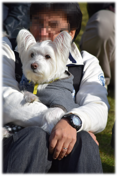 b0242873_02202655.png
