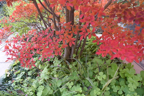 b0230589_02814.jpg
