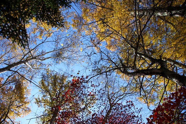 旅の続き～女子旅ⅲ～（紅葉写真多め♪）_e0177190_22223670.jpg