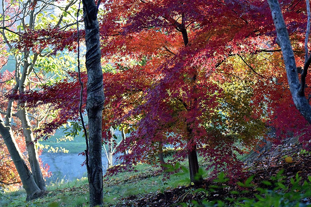 b0024798_20121819.jpg