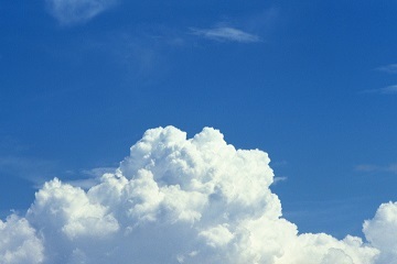 「令和」をいまこそ ~ 立秋&処暑の頃\'20_d0337299_15310561.jpg