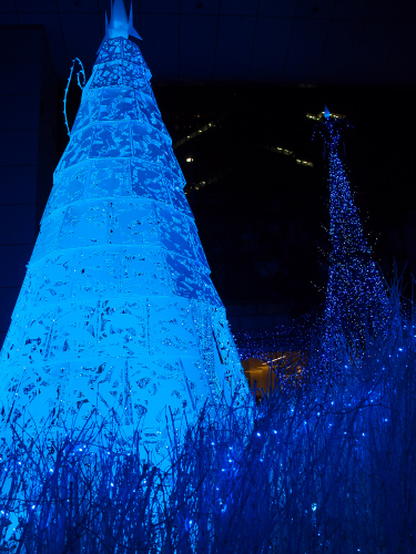 a0164102_1056779.jpg