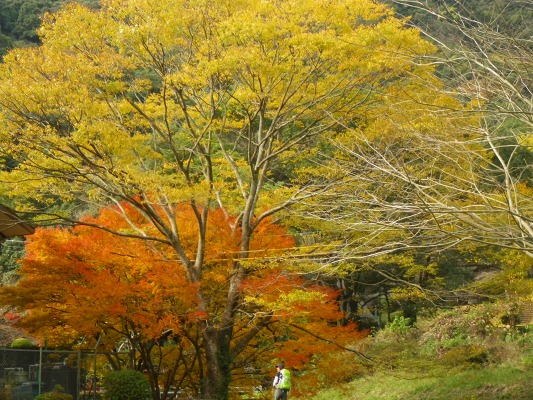 15-12：黒髪山系（青螺山･天童岩）_f0187402_9425987.jpg