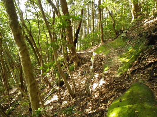f0187402_9442469.jpg