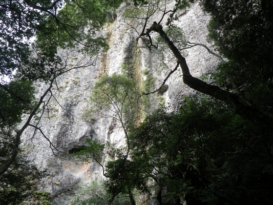 15-12：黒髪山系（青螺山･天童岩）_f0187402_9461683.jpg