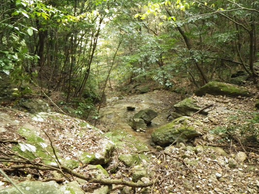 f0187402_94651.jpg