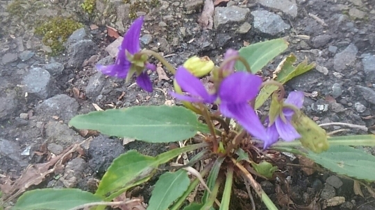 d0306603_23254969.jpg