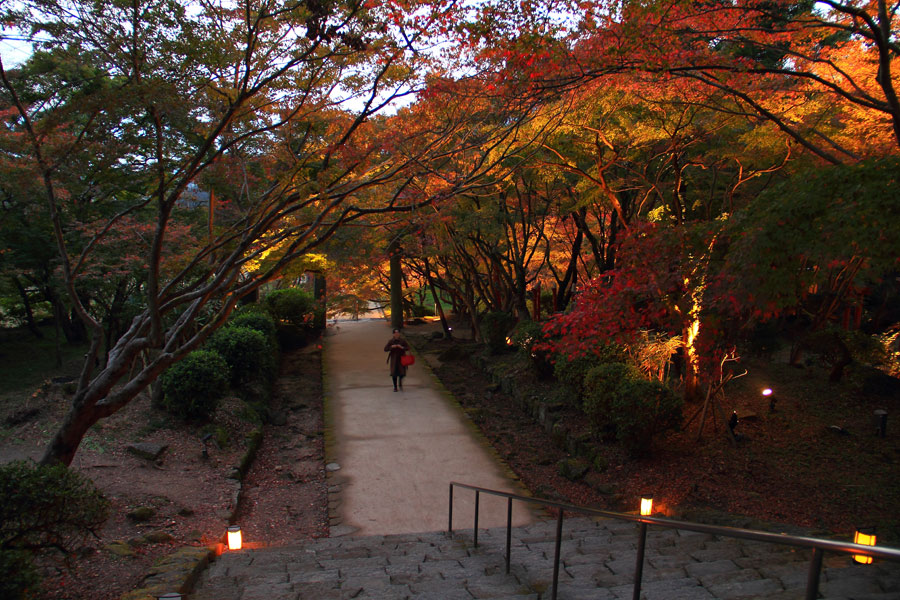 竈門神社 紅葉ライトアップ 九州ロマンチック街道