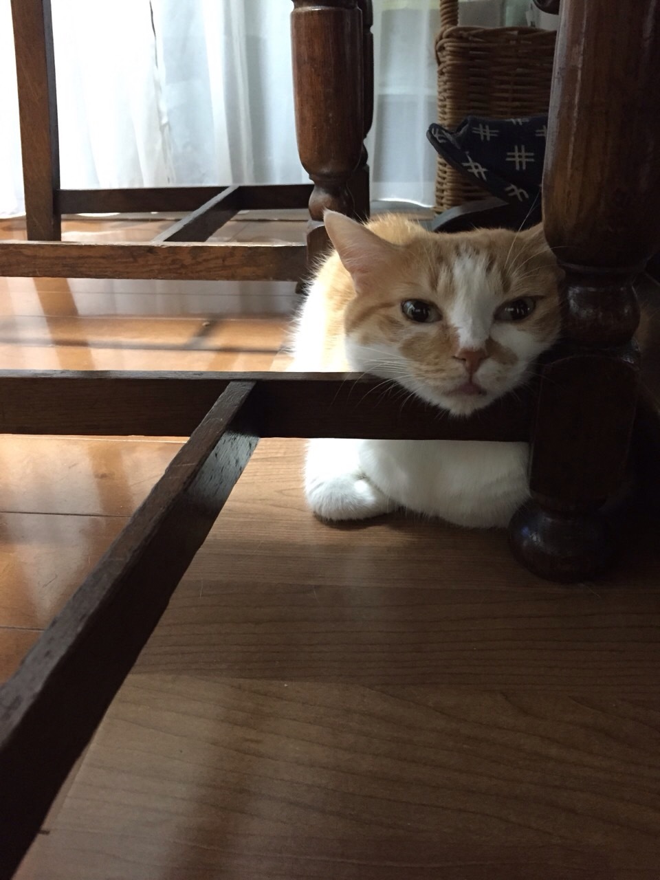 f0036603_21280294.jpeg