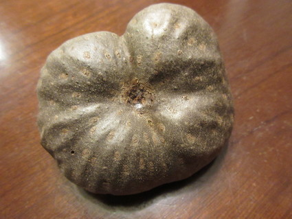 c0212604_2116954.jpg