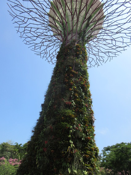 c0212604_638299.jpg