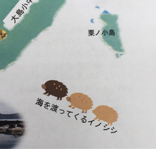 海界の村を歩く 宇和海 大島(愛媛県八幡浜市)_d0147406_20552604.jpg