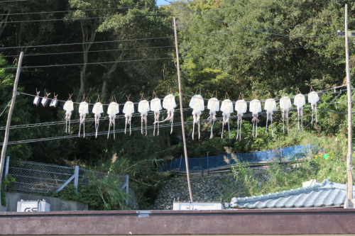 海界の村を歩く 宇和海 大島(愛媛県八幡浜市)_d0147406_20552679.jpg