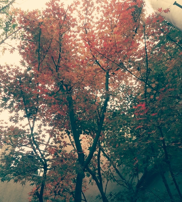 e0224610_20121162.jpg