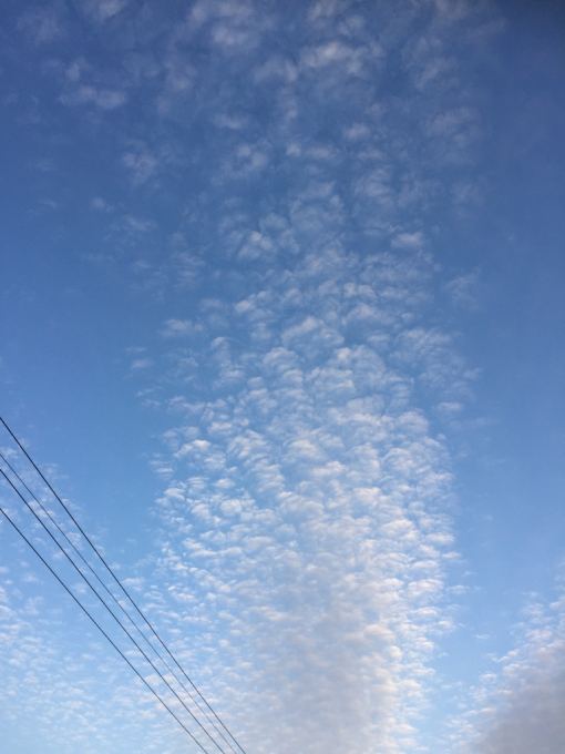 e0020011_16212769.jpg