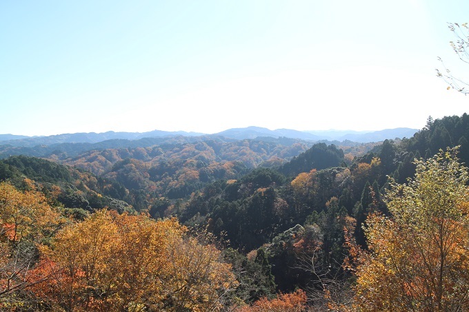 e0341417_12462260.jpg