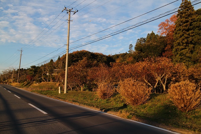 e0341417_16552574.jpg