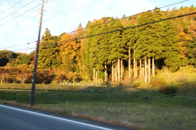 e0341417_21001827.jpg