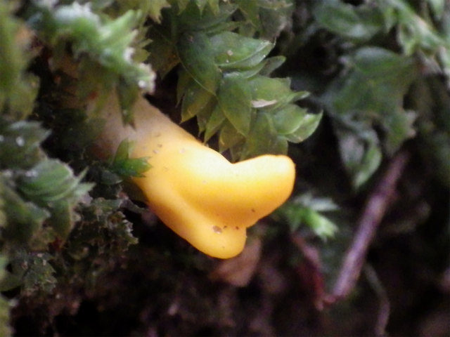 e0352220_20121180.jpg