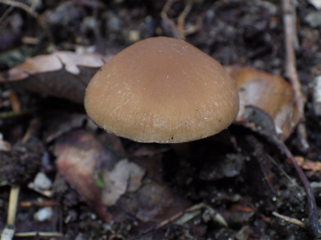 e0352220_20153086.jpg