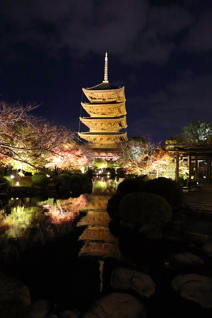 紅葉の京都2015 －紅葉彩る東寺 夜間特別拝観（後編）－_b0169330_1557014.jpg