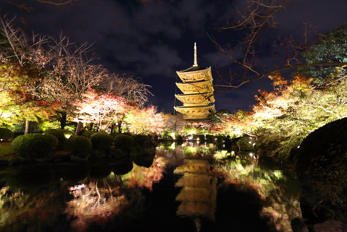 紅葉の京都2015 －紅葉彩る東寺 夜間特別拝観（後編）－_b0169330_1612379.jpg