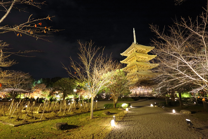 紅葉の京都2015 －紅葉彩る東寺 夜間特別拝観（後編）－_b0169330_162011.jpg