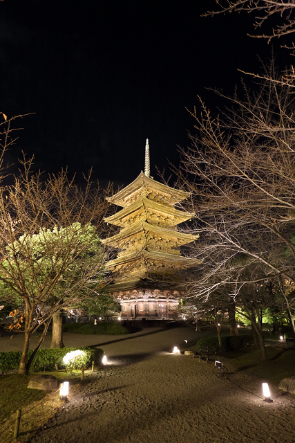 紅葉の京都2015 －紅葉彩る東寺 夜間特別拝観（後編）－_b0169330_1620737.jpg