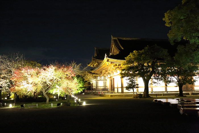 紅葉の京都2015 －紅葉彩る東寺 夜間特別拝観（後編）－_b0169330_16535483.jpg