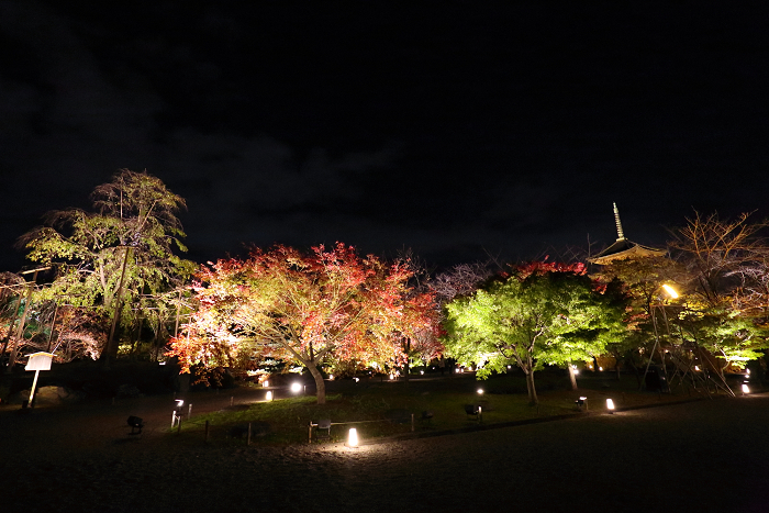 紅葉の京都2015 －紅葉彩る東寺 夜間特別拝観（後編）－_b0169330_1654929.jpg