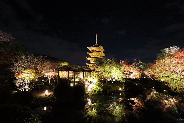 紅葉の京都2015 －紅葉彩る東寺 夜間特別拝観（後編）－_b0169330_1691014.jpg