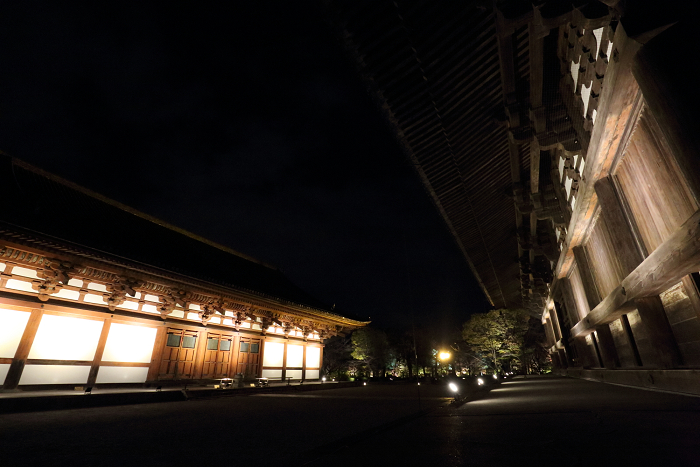 紅葉の京都2015 －紅葉彩る東寺 夜間特別拝観（後編）－_b0169330_169531.jpg