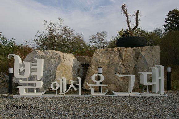 f0283431_18513512.jpg
