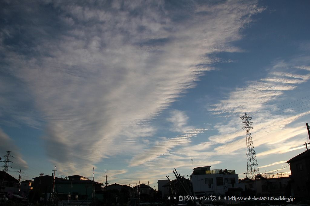 e0052135_22594047.jpg