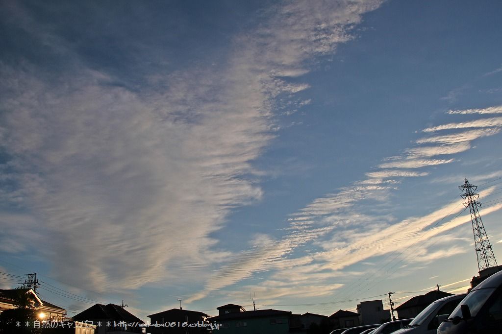 e0052135_230510.jpg