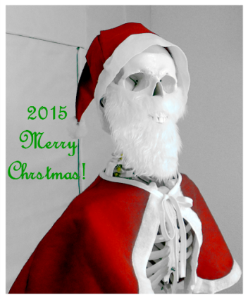 クリスマス会_c0350941_23140821.png