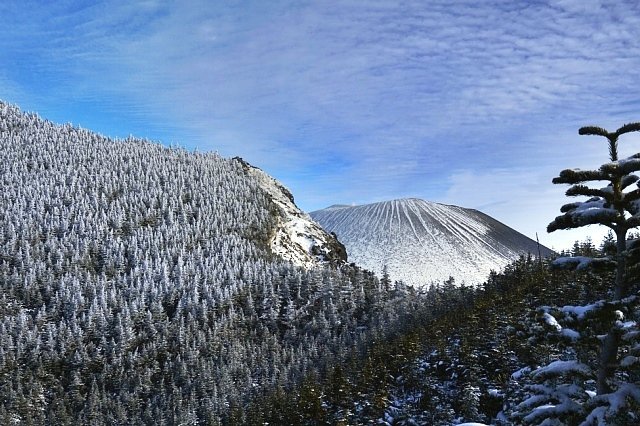 b0122448_21291451.jpg