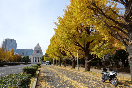b0325549_23003648.jpg