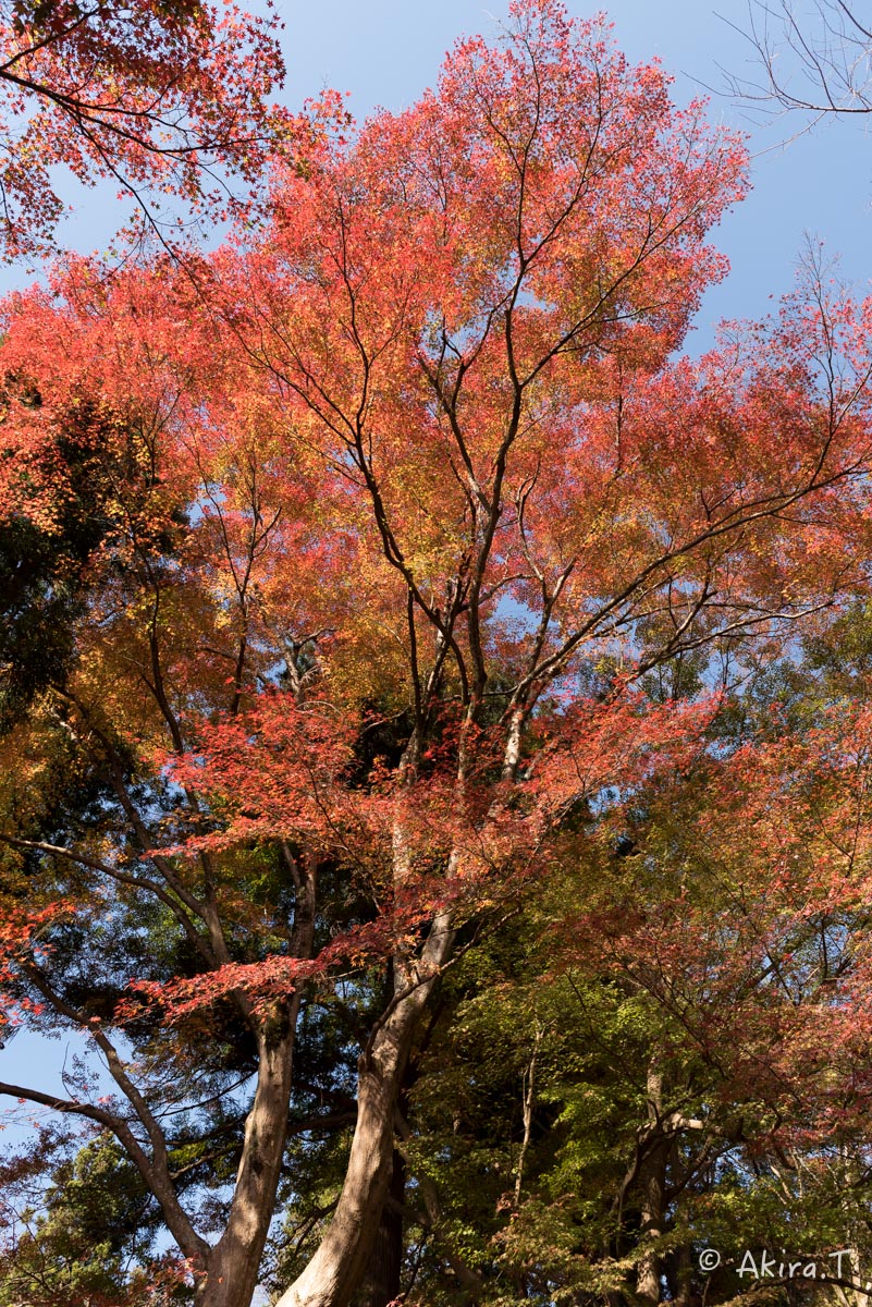 f0152550_1125699.jpg