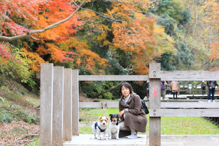 濃溝の滝🍁🍁_d0168652_210832.jpg