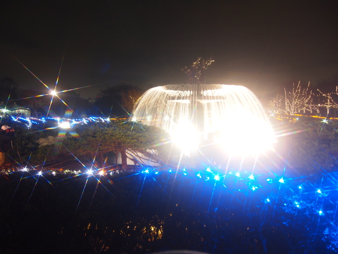 a0198883_2339180.jpg