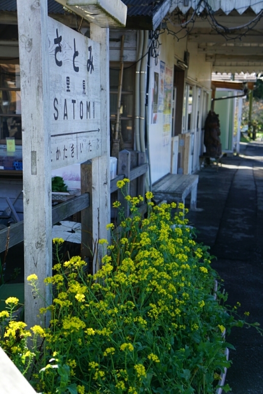 d0341483_06143846.jpg