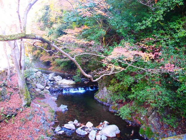 大阪家族旅行＆ジャズを楽しむマラソン ⑥_b0292900_18263750.jpg