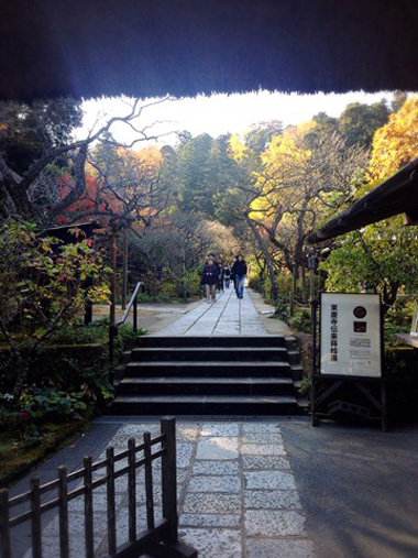 北鎌倉紅葉狩り 東慶寺_d0321300_231262.jpg