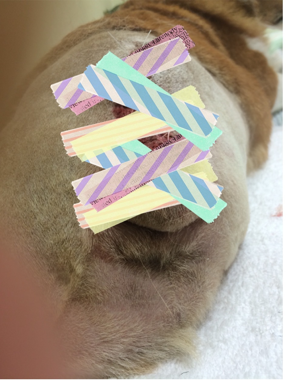 b0122401_13281559.jpeg
