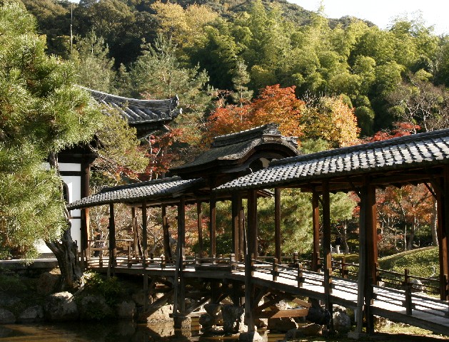 d0140806_117936.jpg