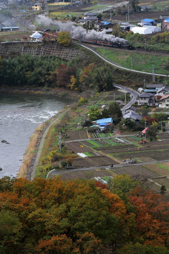 秋の利根川 - 2015年晩秋・上越線 - _b0190710_2240312.jpg