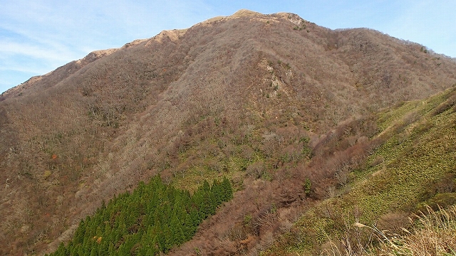 d0264710_213466.jpg
